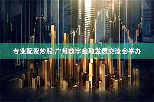 专业配资炒股 广州数字金融发展交流会举办