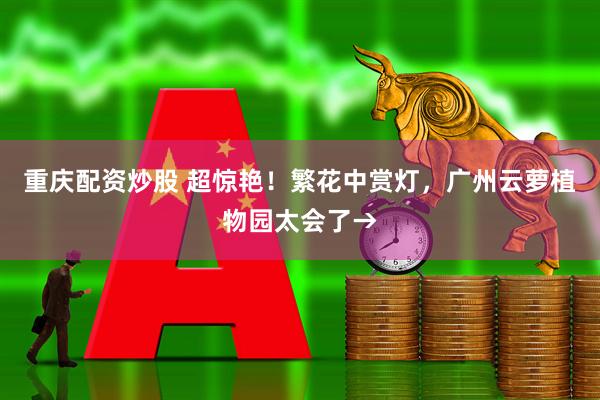 重庆配资炒股 超惊艳！繁花中赏灯，广州云萝植物园太会了→