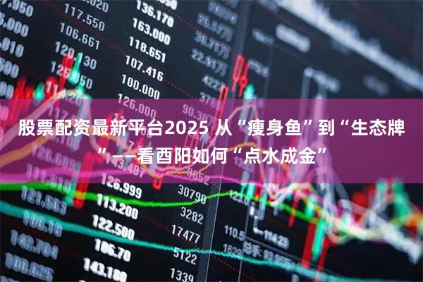股票配资最新平台2025 从“瘦身鱼”到“生态牌”——看酉阳如何“点水成金”